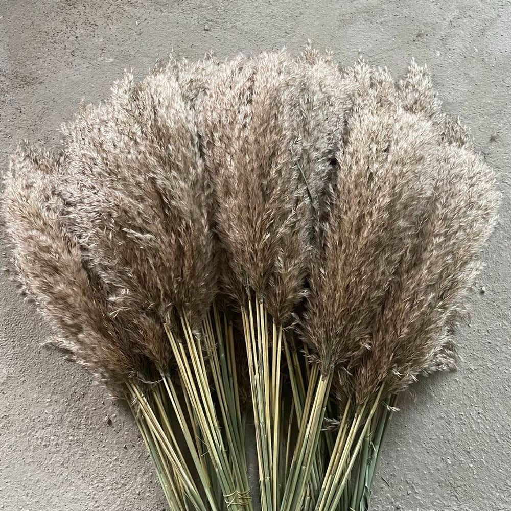 Color Dried Pampas Grass Bouquet
