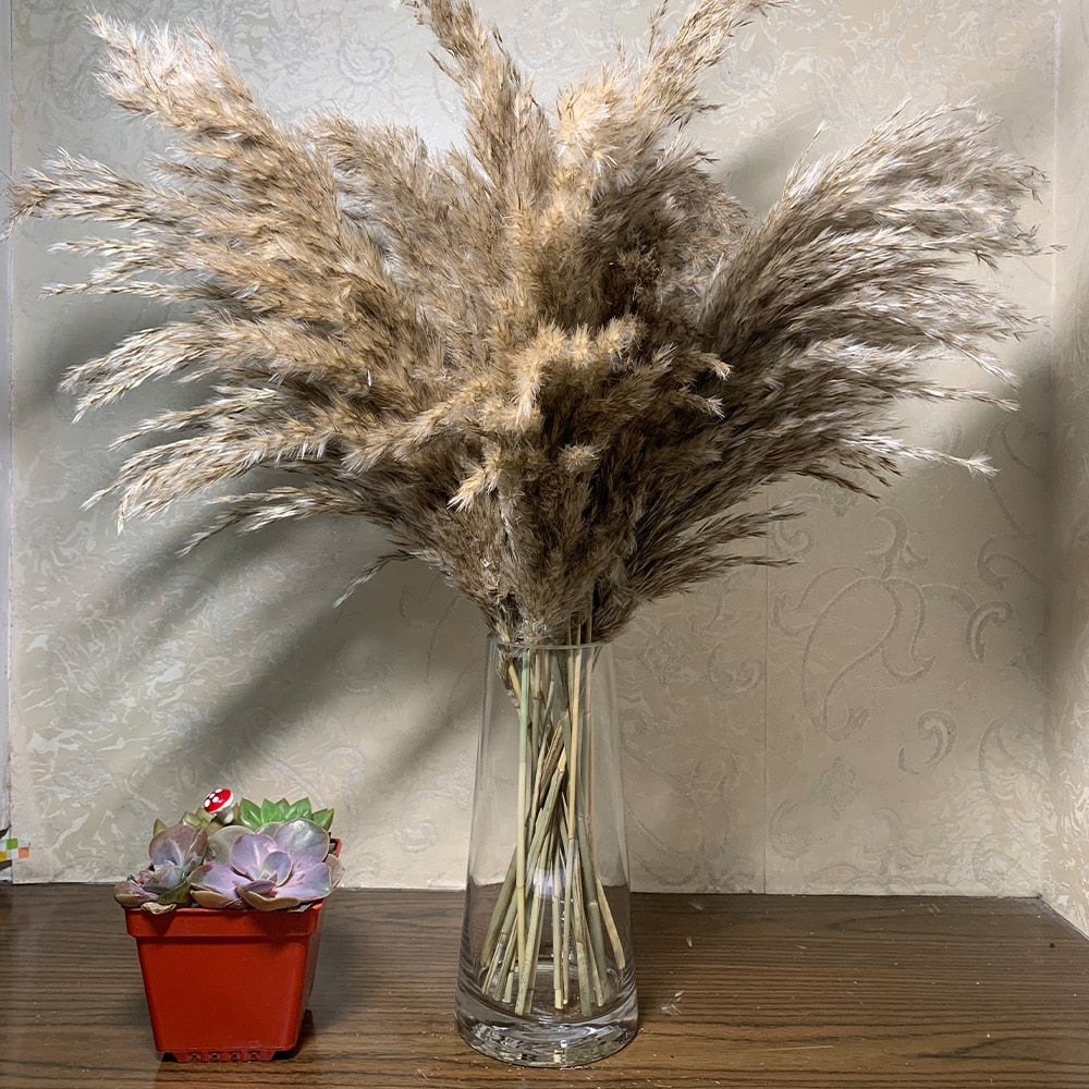 Color Dried Pampas Grass Bouquet