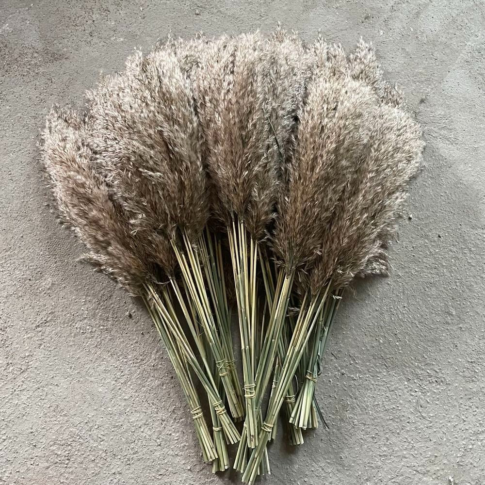 Color Dried Pampas Grass Bouquet