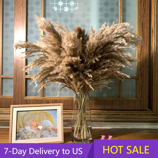 Color Dried Pampas Grass Bouquet